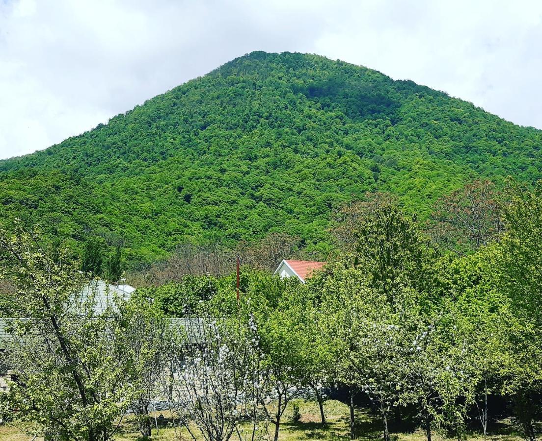 Gabala Sweet Home Экстерьер фото