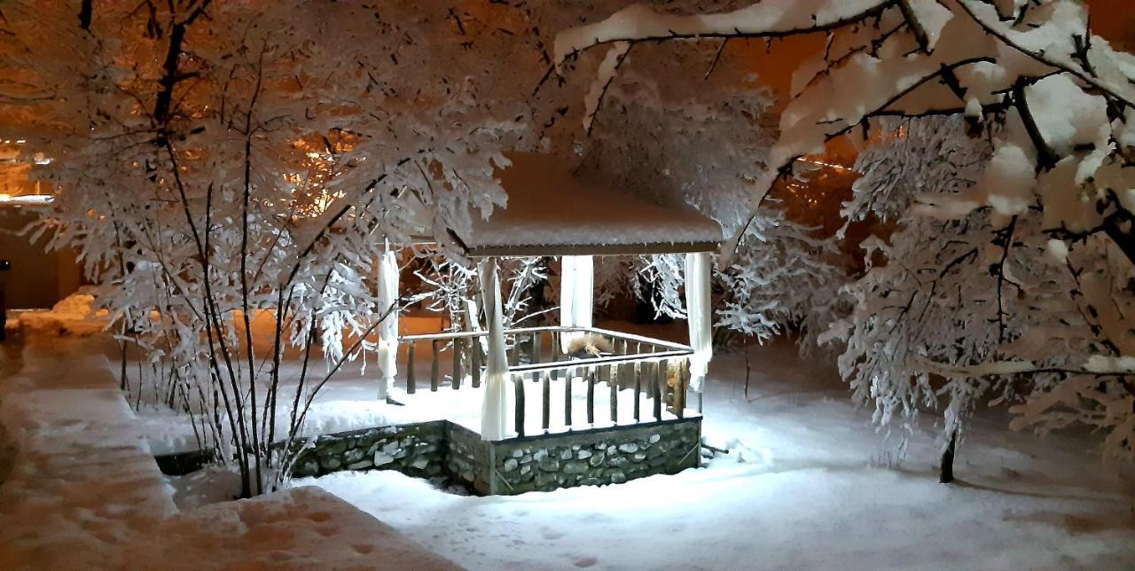 Gabala Sweet Home Экстерьер фото