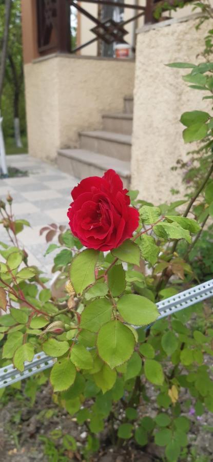 Gabala Sweet Home Экстерьер фото